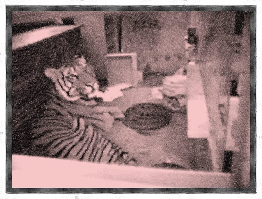 Sketch of a tiger lounging at an office desk